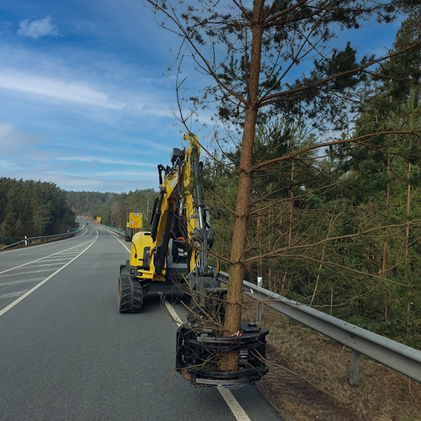 Bild 1 - Gehölzpflege Baggerbetrieb Daser