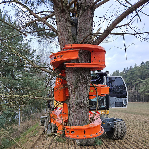 Bild 4 - Gehölzpflege Baggerbetrieb Daser