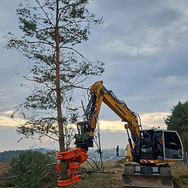 Bild 5 - Gehölzpflege Baggerbetrieb Daser
